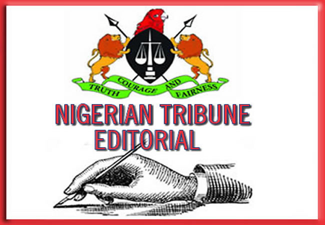 NSITF and its termites - Tribune Online