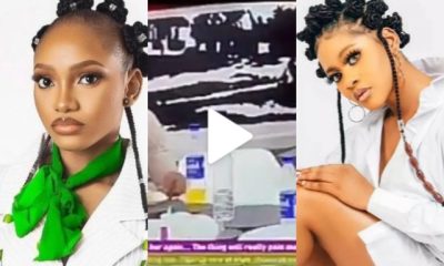 #BBNaija: "I can't bring myself so low to argue with a Maad woman"- Chomzy says as she & Phyna Fight dirty [Video]