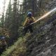 Western edge of Jasper wildfire allowed to spread for ecological benefits