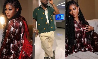 “Never seen a cat take rubbish from a dog”- Sophia Momodu throws shades at Davido hours after unfollowing him