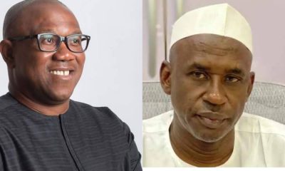 'Arrest Mahdi Shehu For Saying 'A Vote For Peter Obi Is Vote To Biafra' – Ohanaeze Blows Hot