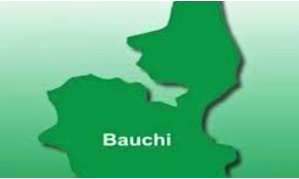 Bauchi enrols 200 sickle cell patients on health insurance 