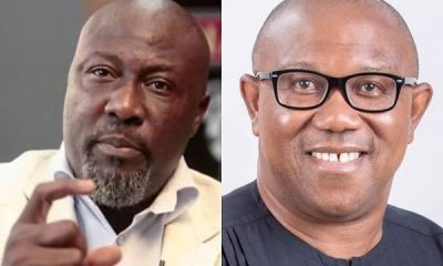 2023 Is Not Obi's Time, Forget All The Imaginary Noise - Dino Melaye