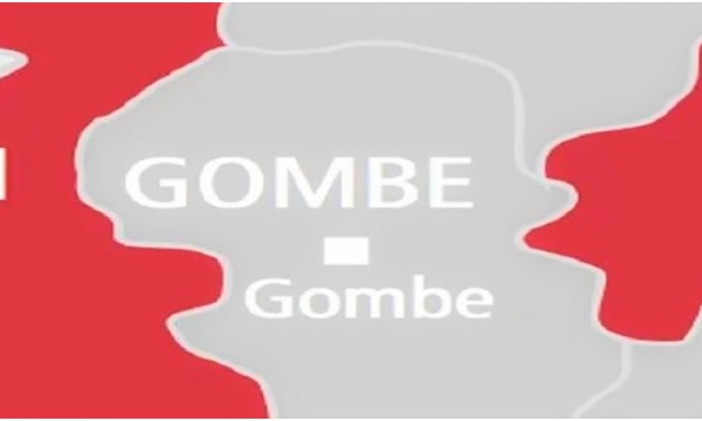 Gombe records 10 cholera deaths, 236 cases