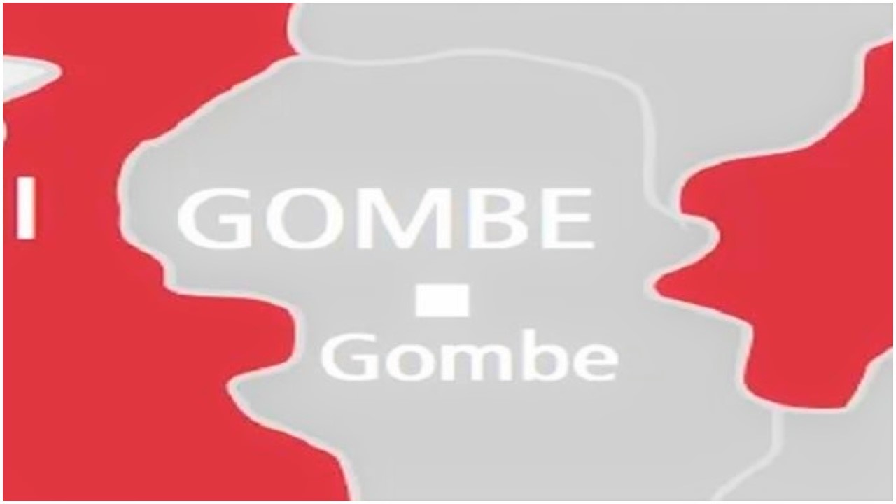 Gombe records 10 cholera deaths, 236 cases