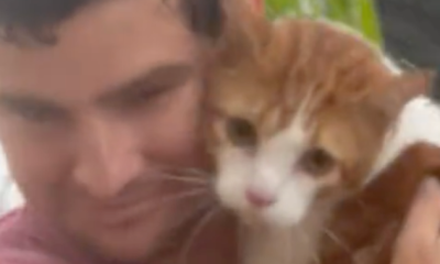 Help meow-t! Florida man saves stranded cat from Hurricane Ian surge - National