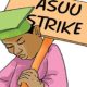 How we forced Nigerian govt to fund varsities in last 25 years – ASUU