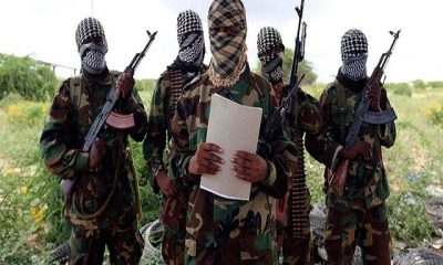 ISWAP Fighters Kill Boko Haram Terrorists In Borno