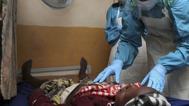  Lassa fever death toll now 169, says NCDC