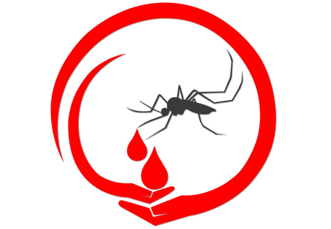 Malaria eradication efforts should gather momentum