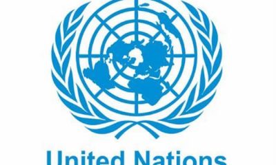UN releases $10m-aid to fight acute malnutrition in North East