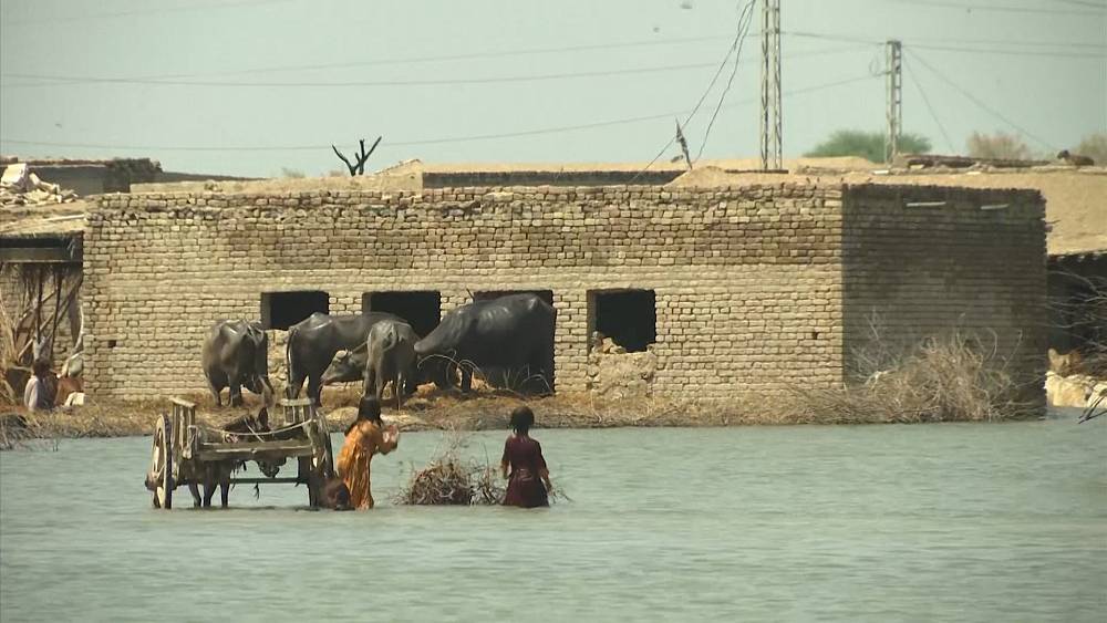 VIDEO : Pakistan floods death toll surges past 1,200