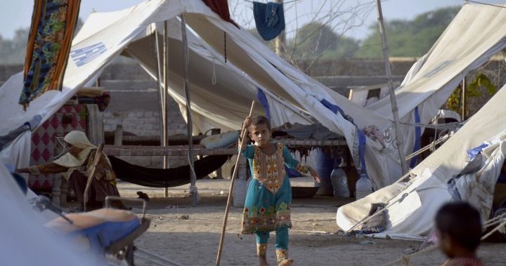 Pakistan floods: 5.7 million will face food crisis in coming months, UN says - National