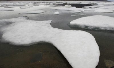 Arctic rainy days are likely to double by 2100. Here’s why - National