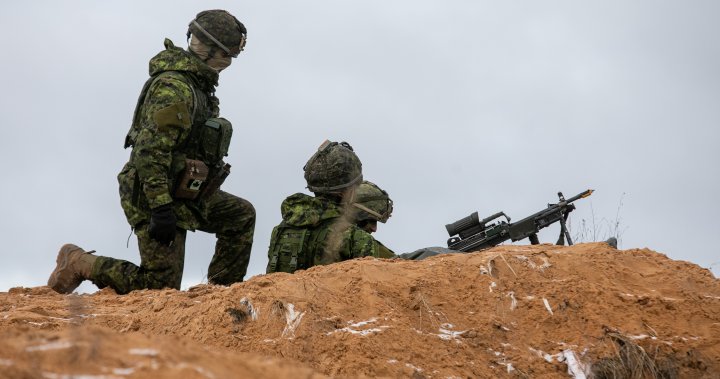 Canada sending 40 combat engineers to Poland to train Ukrainian troops - National