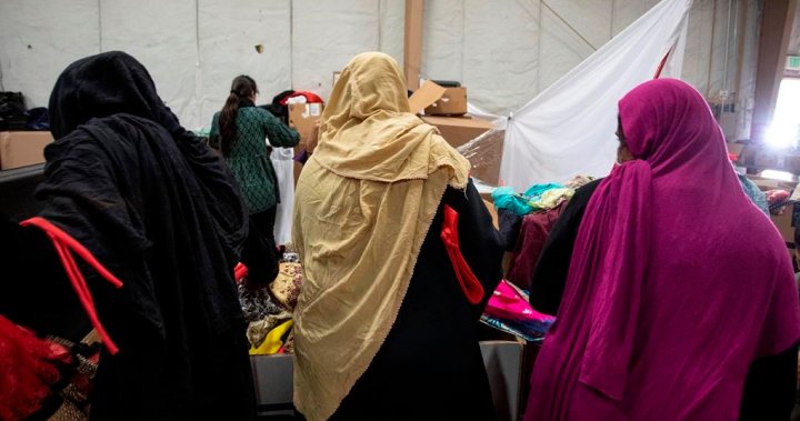 Afghan refugee sponsorship quota should be removed, advocates urge feds - National