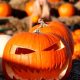 Halloween horror: Why some people like getting spooked while others don’t - National