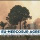 EU-Mercosur: Elections in Brazil could change trade relationship between blocs