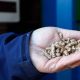 Energy crisis: Spaniards seek wood pellets and solar panels to heat homes
