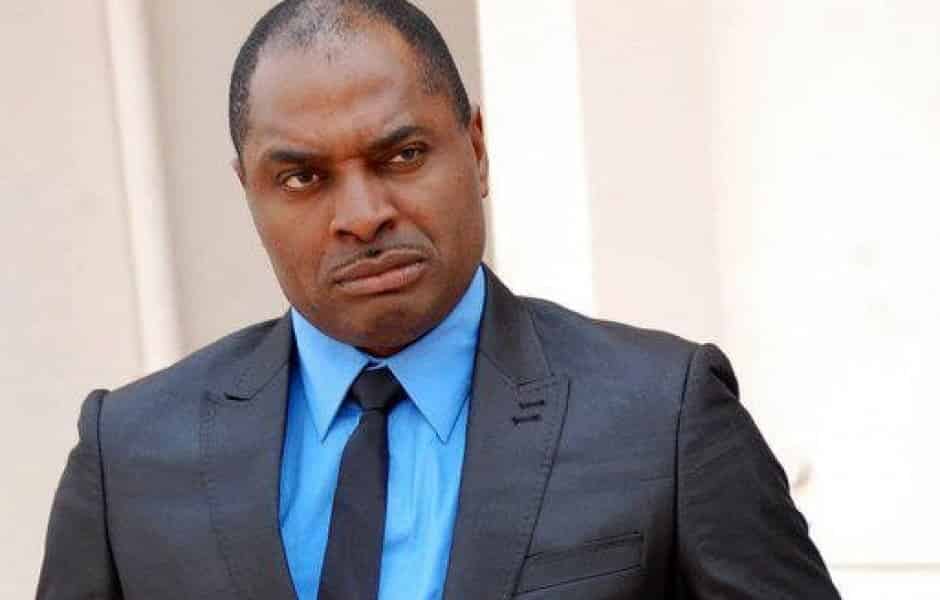 Everybody, Including Animals Have Become A Thief In APC Government - Okonkwo