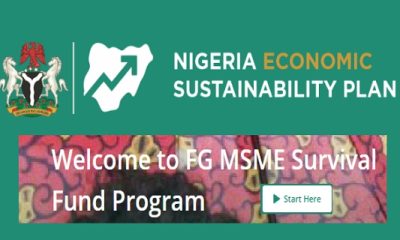 FG Survival Fund Program 2021 for Nigerians: Application Now Open