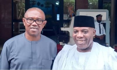Fresh Crisis In Labour Party As Peter Obi Set To Name Campaign Council
