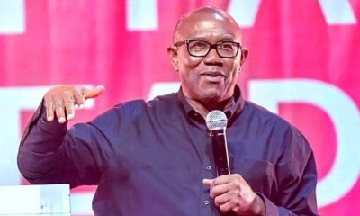 Investment in agriculture will address food inflation, insecurity: Peter Obi