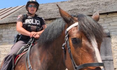 Kingston, Ont. police horse’s future uncertain due to lack of funding - Kingston