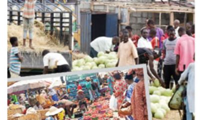 More Nigerians risk depression, peptic ulcers, others with rising food prices, experts say 