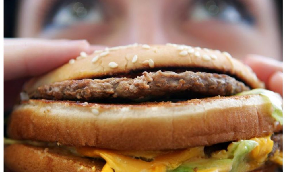 Study links eating junk food during pregnancy to obesity in children
