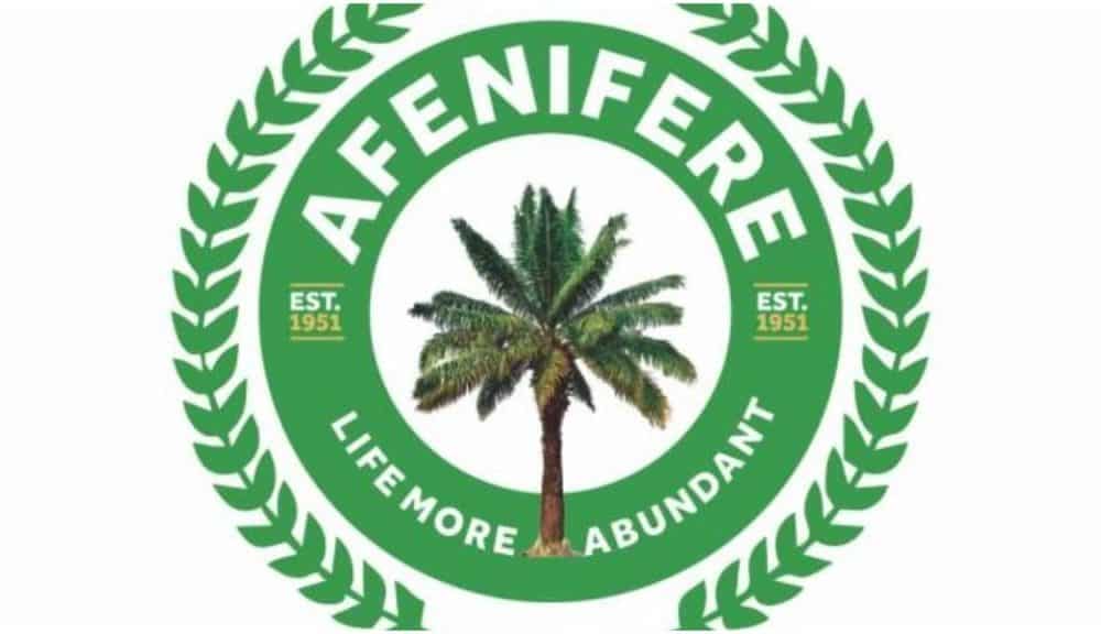 The Presidency Is Not A Personal Property Of The Yorubas – Afenifere Speaks On Reason For Endorsing Peter Obi