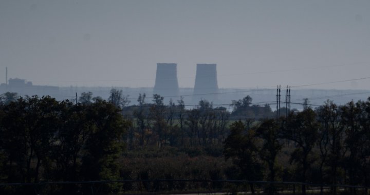 Russian shelling damages power lines at Zaporizhzhia nuclear plant, Ukraine says - National