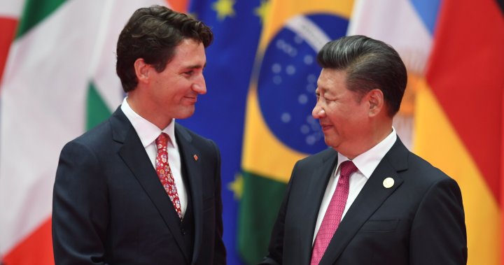 Conservatives call for ‘robust plan’ on alleged Chinese interference in Canada - National