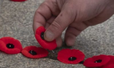 People gather at Edmonton City Hall for Remembrance Day ceremony - Edmonton