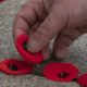 People gather at Edmonton City Hall for Remembrance Day ceremony - Edmonton