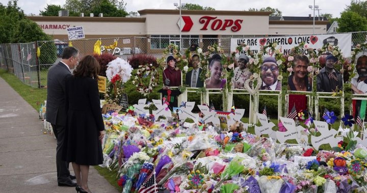 Buffalo supermarket shooter pleads guilty to murder, hate charges for racist attack - National