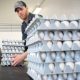 U.K. egg shortage has stores placing purchase limits. Is Canada next? - National