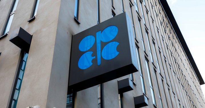 OPEC+ oil targets unchanged as Russian price caps spark uncertainty - National