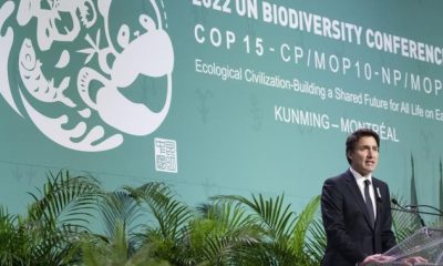 Efforts to protect nature at COP15 will fail without Indigenous people, leaders say
