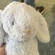 The tale of Bunbun, stranded at Vancouver’s airport, has happy ending in Edmonton