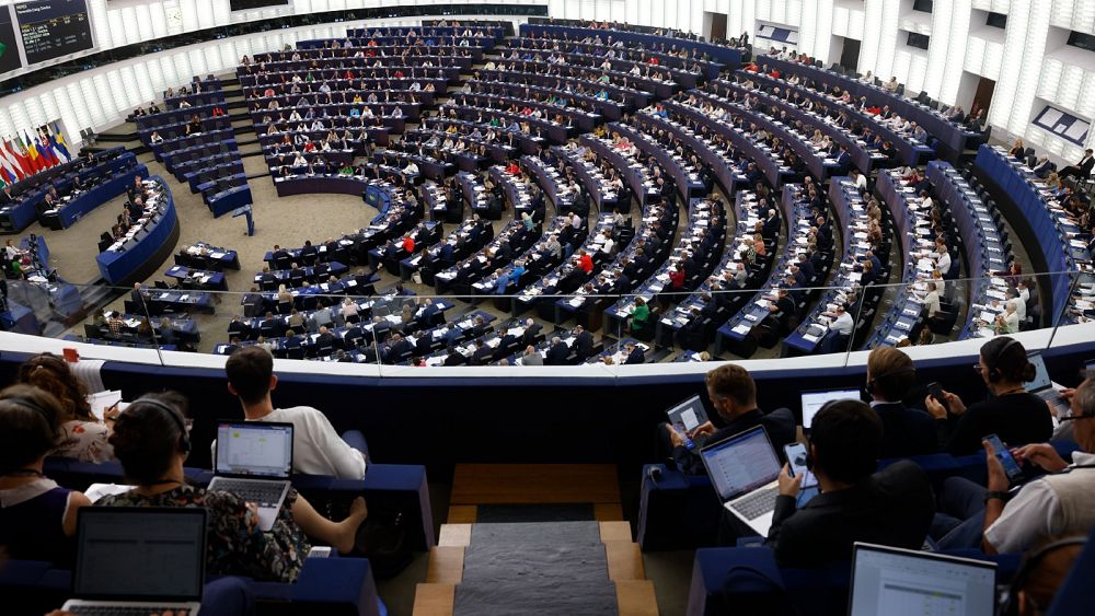 As 2022 comes to an end, here's what some MEPs hope to achieve next year