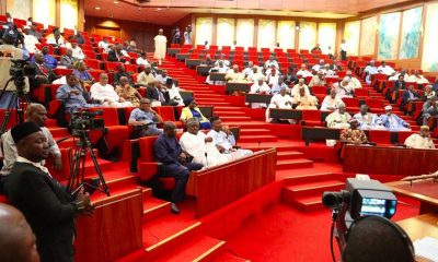 Senate threatens perm-sec with arrest warrant over SWV, missing N133m