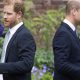 Prince Harry says Prince William physically attacked him in new book, ‘Spare’ - National