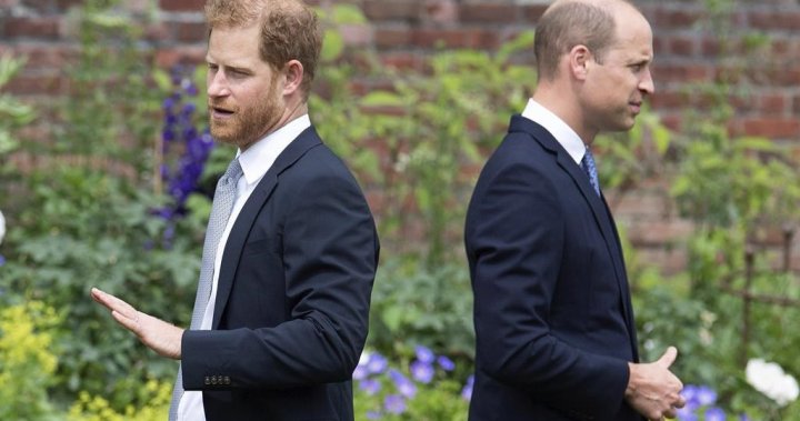 Prince Harry says Prince William physically attacked him in new book, ‘Spare’ - National