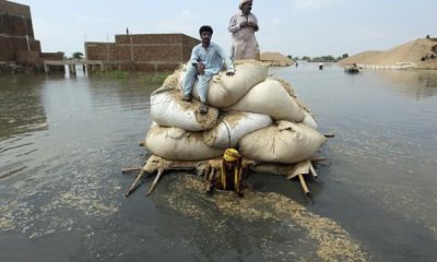 Canada to provide another $25M to Pakistan for flood recovery, climate resilience - National