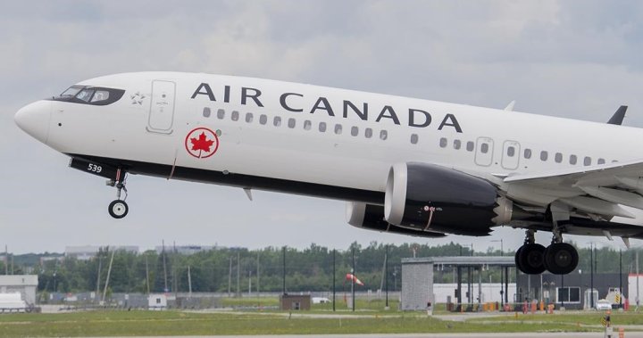 Loss of direct flights ‘going to hurt us,’ Sask. businesses and researchers say
