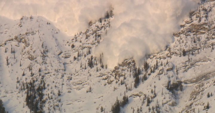 Experts advising public to stay safe in B.C.’s high risk avalanche areas