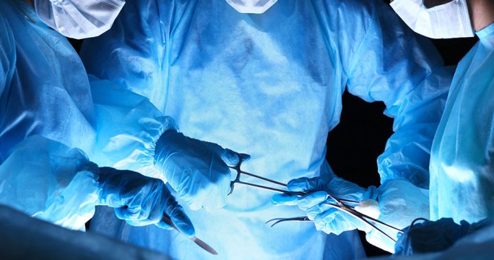 Sask. organ transplants rebounding after COVID-19 slowdown: report