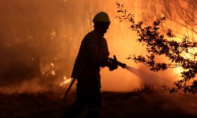 Wildfire damages cost €2 billion last year, says EU Commissioner