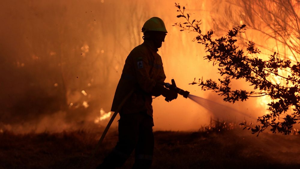 Wildfire damages cost €2 billion last year, says EU Commissioner